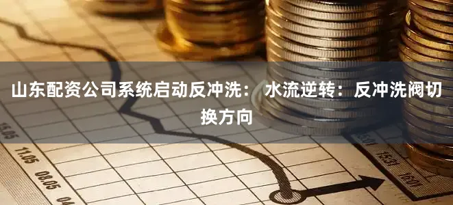 山东配资公司系统启动反冲洗： 水流逆转：反冲洗阀切换方向