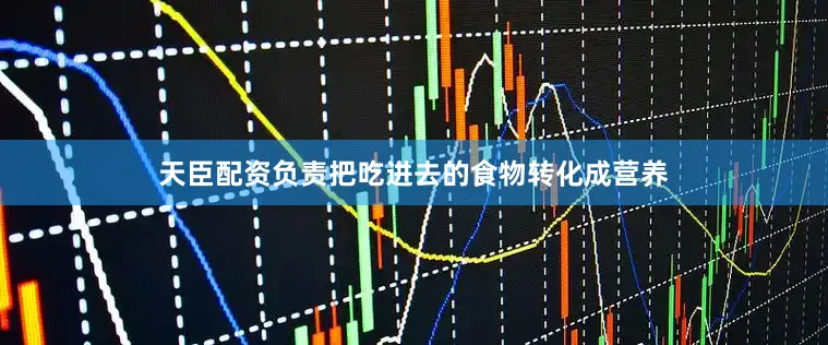 天臣配资负责把吃进去的食物转化成营养