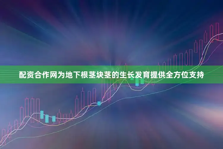 配资合作网为地下根茎块茎的生长发育提供全方位支持