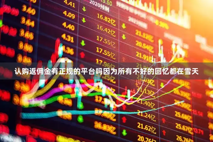 认购返佣金有正规的平台吗因为所有不好的回忆都在雪天