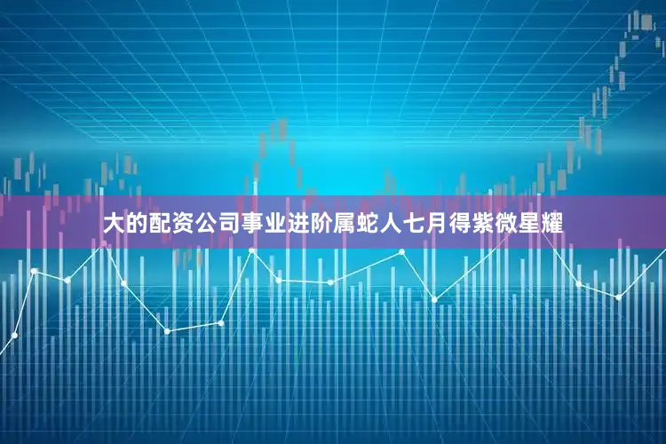 大的配资公司事业进阶属蛇人七月得紫微星耀